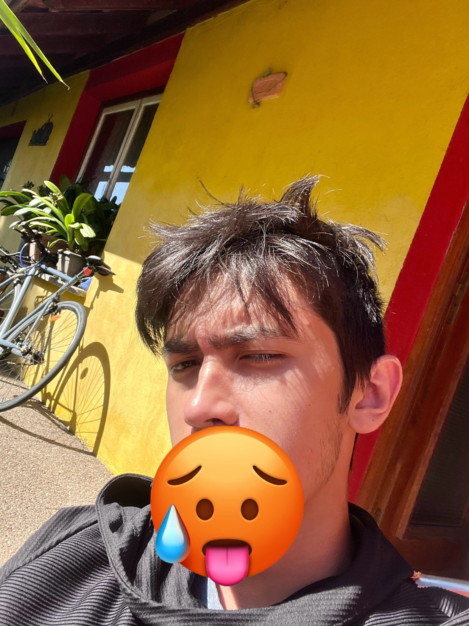 Zino - San Juan de Aznalfarache - Sevilla | Gay